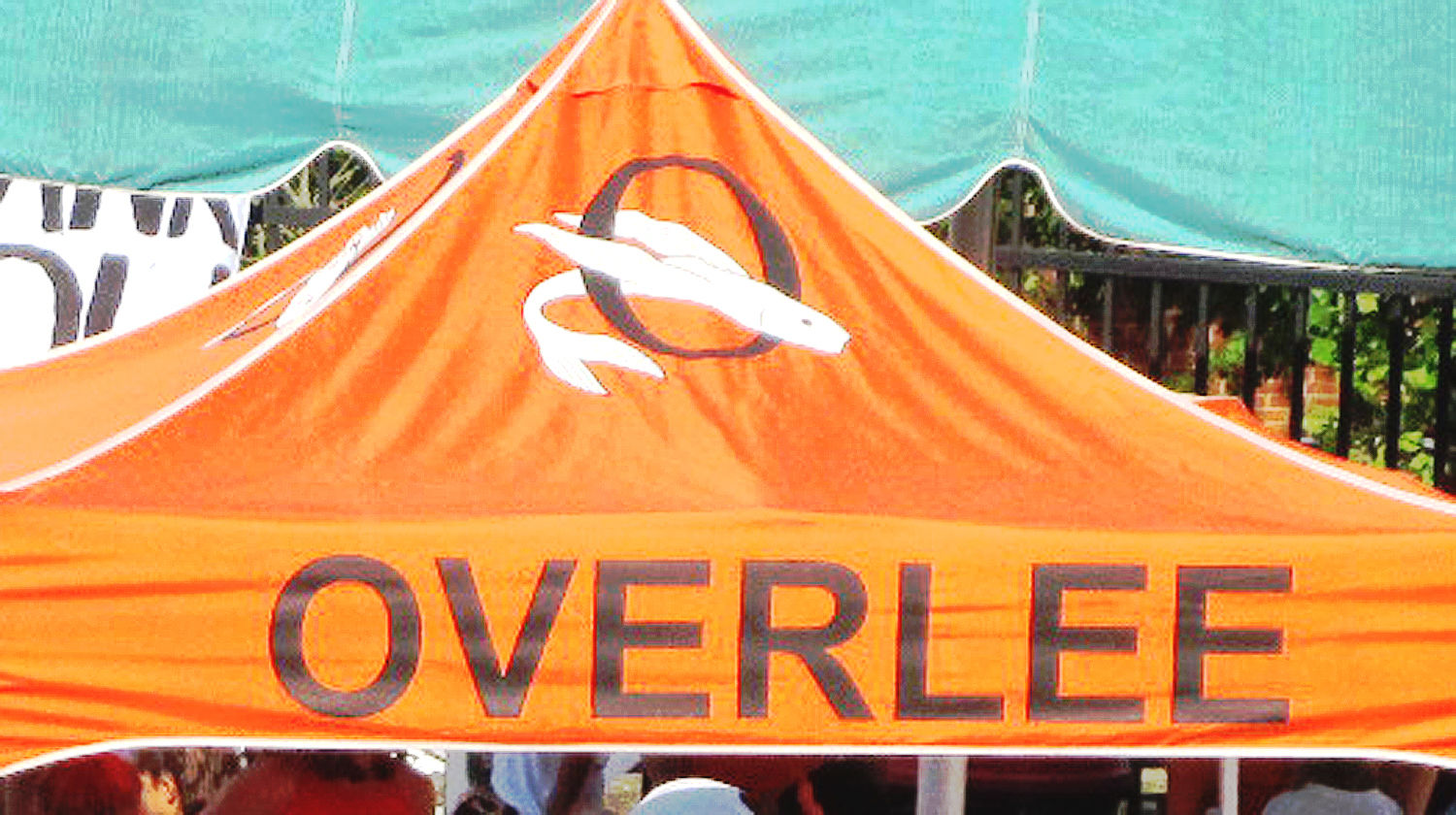 Summer swim tents 13